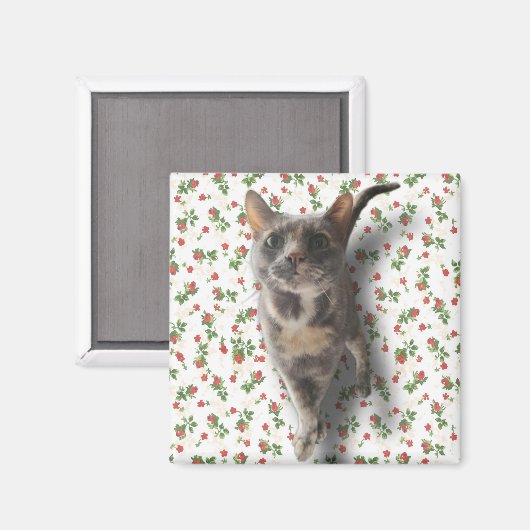 Hübsch Kitty Magnet (Vorderseite/Rückseite)