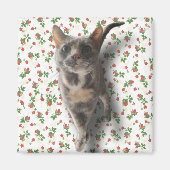 Hübsch Kitty Magnet (Vorne)