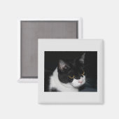 Hübsch Kitty Magnet (Vorderseite/Rückseite)