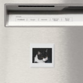 Hübsch Kitty Magnet (In Situ (Geschirrspüler))