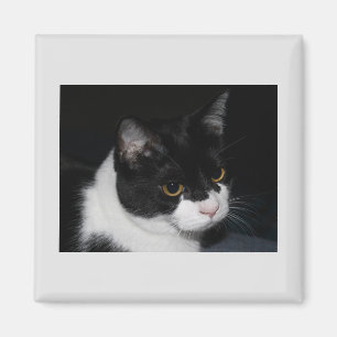 Hübsch Kitty Magnet