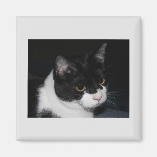 Hübsch Kitty Magnet (Vorne)