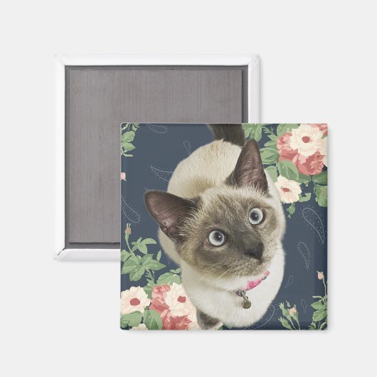 Hübsch Kitty Magnet (Vorderseite/Rückseite)