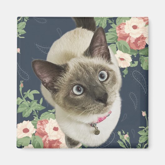 Hübsch Kitty Magnet (Vorne)