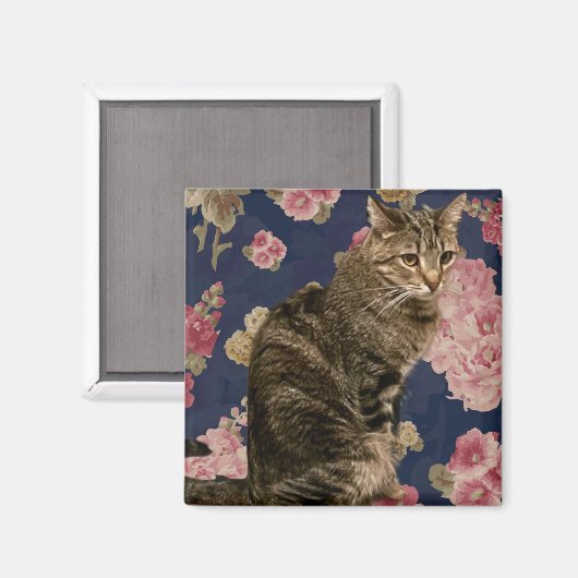 Hübsch Kitty Magnet (Vorderseite/Rückseite)