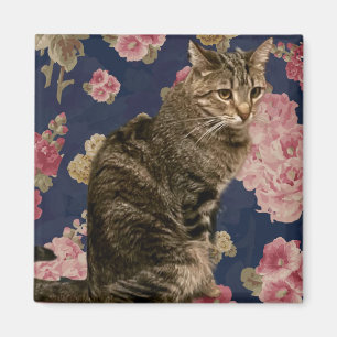 Hübsch Kitty Magnet