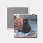 Hübsch Kitty Magnet (Vorderseite/Rückseite)