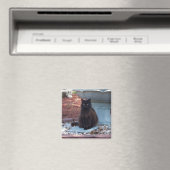 Hübsch Kitty Magnet (In Situ (Geschirrspüler))