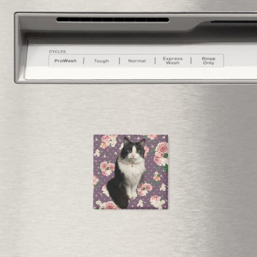 Hübsch Kitty Magnet (In Situ (Geschirrspüler))