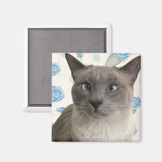 Hübsch Kitty Magnet (Vorderseite/Rückseite)