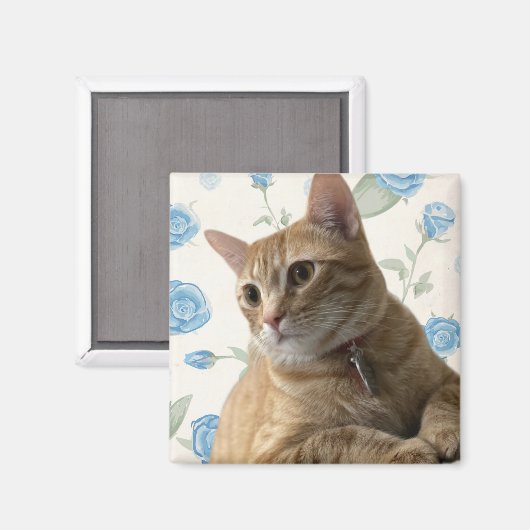 Hübsch Kitty Magnet (Vorderseite/Rückseite)