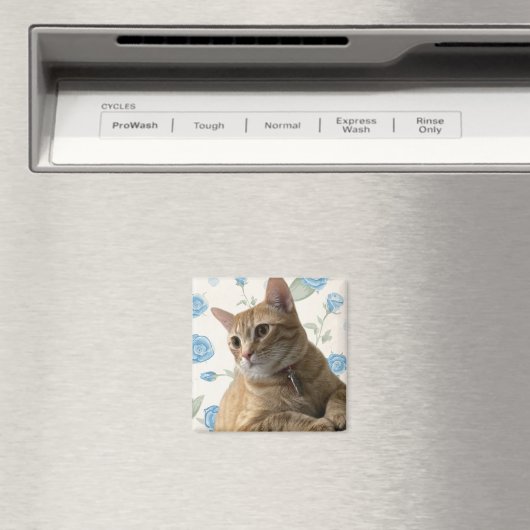 Hübsch Kitty Magnet (In Situ (Geschirrspüler))