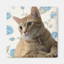 Hübsch Kitty Magnet