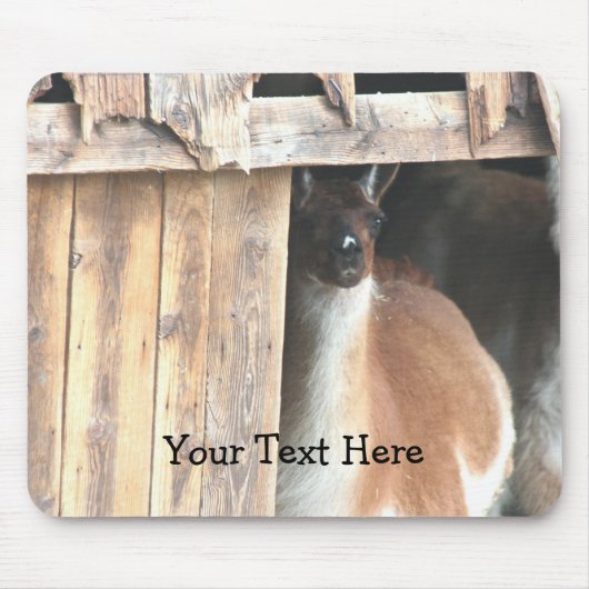 Hübsch Lama Farm Animal Mousepad (Vorne)