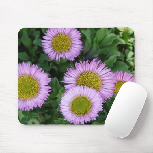 Hübsch Lavender Erigeron Blume Mousepad (Mit Mouse)
