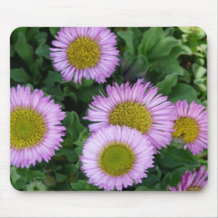 Hübsch Lavender Erigeron Blume Mousepad