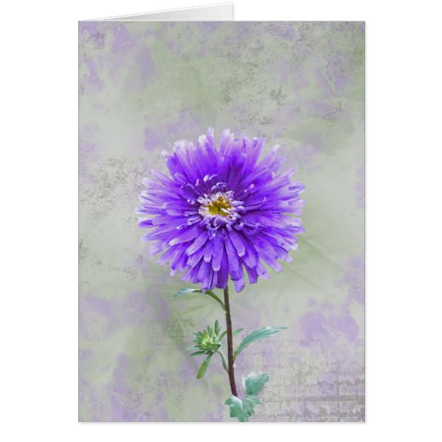 Hübsch Lila (Vorne)