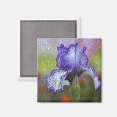 Hübsch Lila Iris Magnet (Vorderseite/Rückseite)