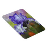 Hübsch Lila Iris Magnet (Rechte Seite)