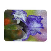 Hübsch Lila Iris Magnet (Horizontal)