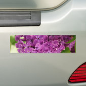 Hübsch Lilac Autoaufkleber (Auf Auto)