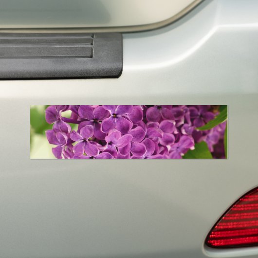 Hübsch Lilac Autoaufkleber (Auf Auto)