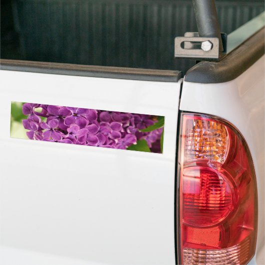 Hübsch Lilac Autoaufkleber (Auf Lkw)