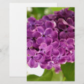 Hübsch Lilac Briefpapier (Vorne/Hinten)