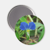 Hübsch Little Blue Blume Magnet (Vorderseite/Rückseite)