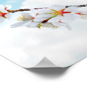 Hübsch Little Bluebird Poster (Ecke)