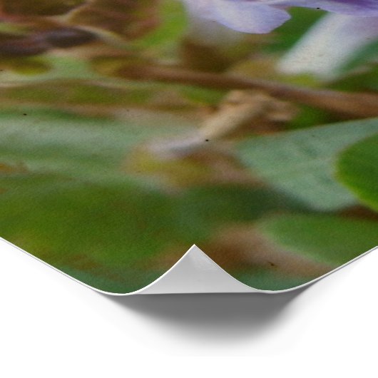 Hübsch Little Henbit Poster (Ecke)