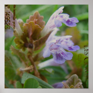 Hübsch Little Henbit Poster