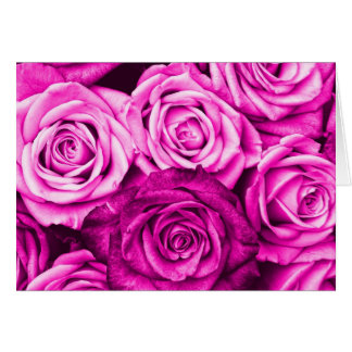 Hübsch Magenta Pink Roses Blume Bouquet