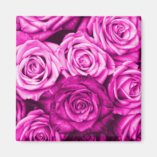 Hübsch Magenta Pink Roses Blume Bouquet Magnet (Vorne)