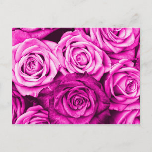 Hübsch Magenta Pink Roses Blume Bouquet Postkarte