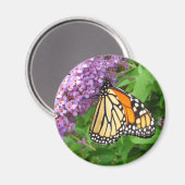 Hübsch Monarch ~ Magnet (Vorderseite/Rückseite)