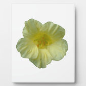 Hübsch Nasturtium Plaque Fotoplatte (Vorderseite)