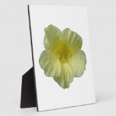 Hübsch Nasturtium Plaque Fotoplatte (Seite)