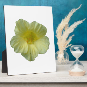 Hübsch Nasturtium Plaque Fotoplatte