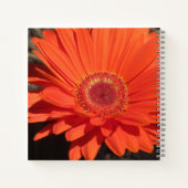 Hübsch Orange Daisy Blume Foto Name Notizblock (Rückseite)