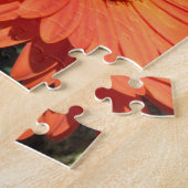 Hübsch Orange Daisy Blume Foto Puzzle (Seite)