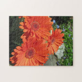 Hübsch Orange Daisy Blume Foto Puzzle (Horizontal)
