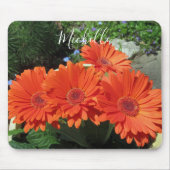 Hübsch Orange Daisy Fotografie Mousepad (Vorne)