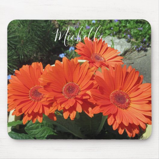 Hübsch Orange Daisy Fotografie Mousepad (Vorne)