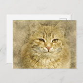 Hübsch Orange Kitty | ABSTRAKT | Wasserfarbe Postkarte (Vorne/Hinten)