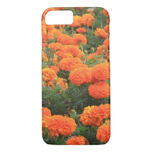 Hübsch Orange Marigolds Foto Case-Mate iPhone Hülle (Rückseite)