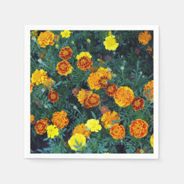 Hübsch Orange Marigolds Foto Serviette