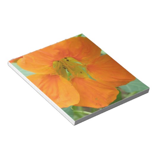 Hübsch Orange Nasturtium Blume Editor Notizblock (angewinkelt)