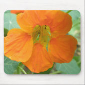 Hübsch Orange Nasturtium Blume Mousepad (Vorne)