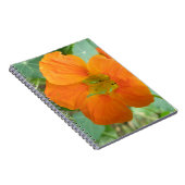 Hübsch Orange Nasturtium Blume Notebook Notizblock (Rechte Seite)